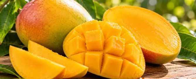 Mangga matang pohon